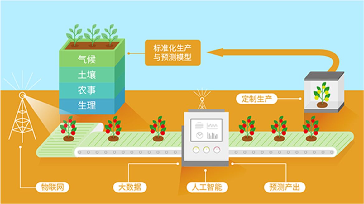 現(xiàn)代化農(nóng)業(yè)平臺(tái)解決方案