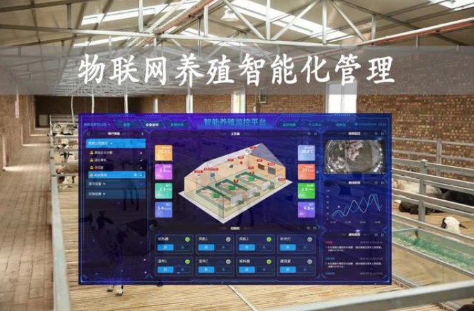 智慧養(yǎng)殖解決方案功能：開啟養(yǎng)殖新時代，賦能產(chǎn)業(yè)新升級