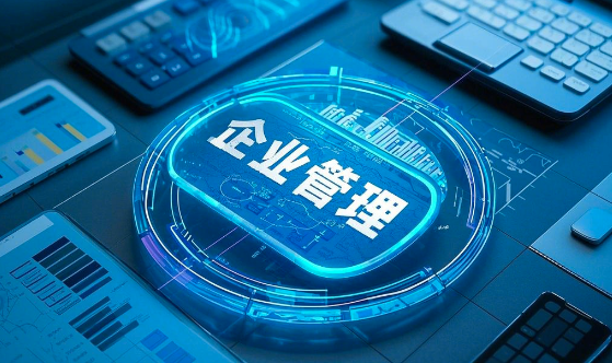 企業(yè)信息化開發(fā)的好處以及優(yōu)勢